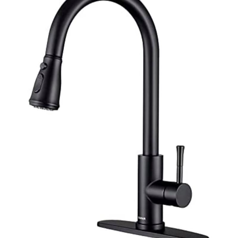 Single Handle Kitchen Sink Faucet with Pull Out Sprayer