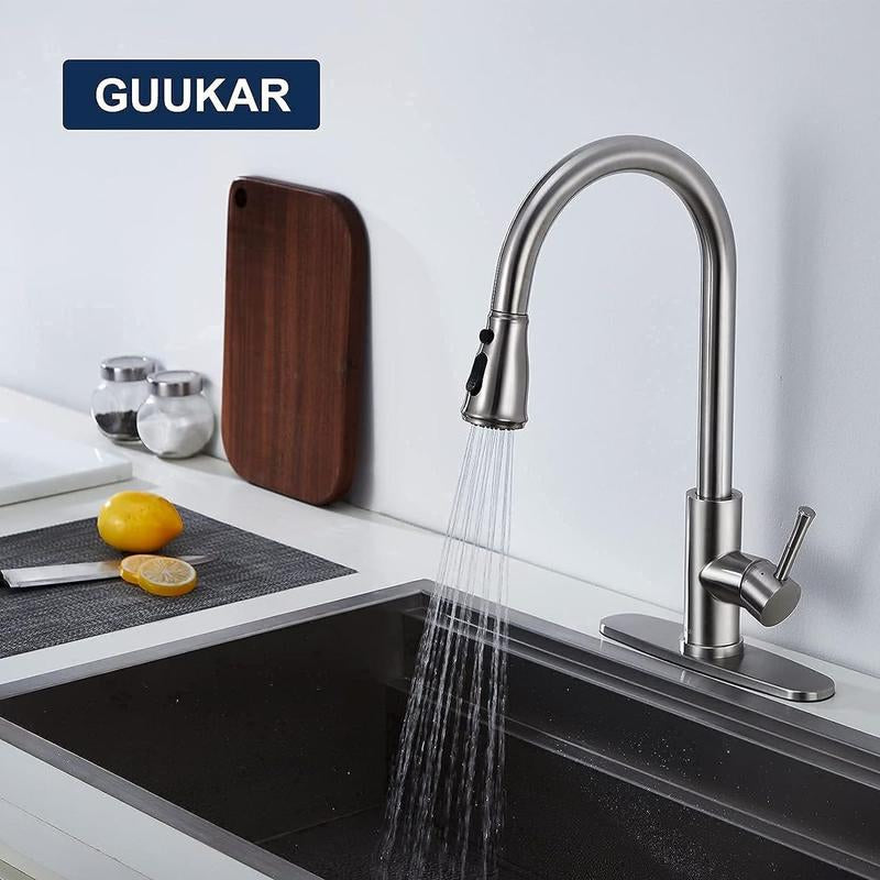 Single Handle Kitchen Sink Faucet with Pull Out Sprayer